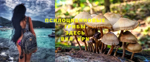 ПСИЛОЦИБИНОВЫЕ ГРИБЫ Баксан