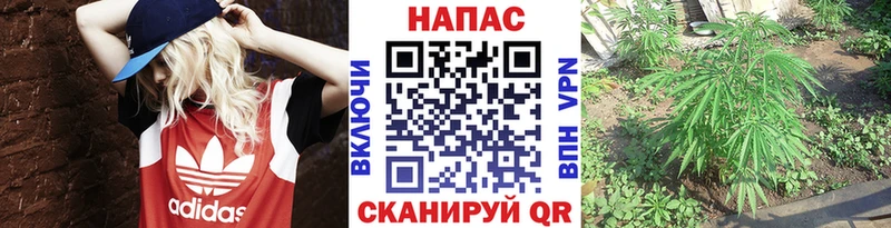 Бошки Шишки Amnesia Новокузнецк